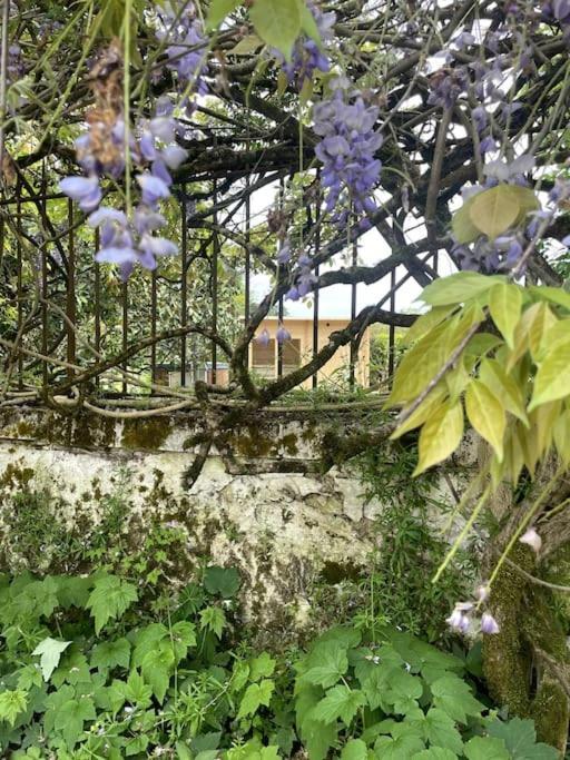 Gite Lilas Ideal Pour 4 Pers Capian Εξωτερικό φωτογραφία